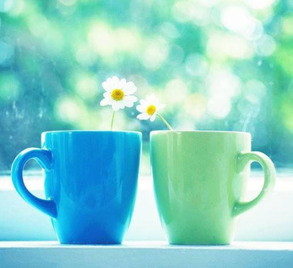 Яркого вторника