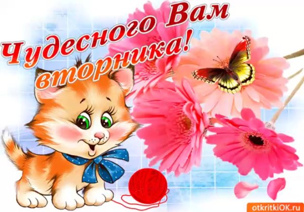 Хорошего вторника удачи