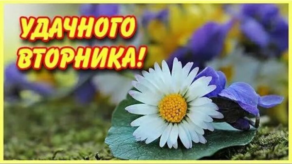 Доброе августовское утро вторника