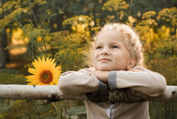 До свидания лето