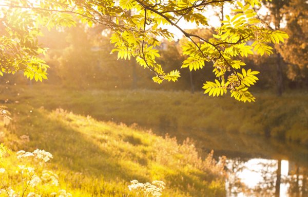 Лето, Прощай