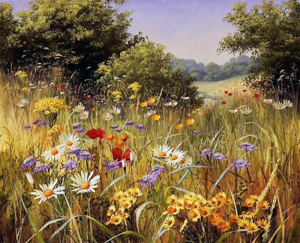 Цветы луговые художника Mary Dipnall