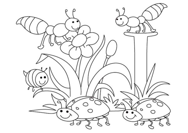 Раскраска. Лето