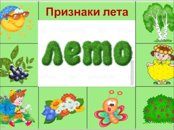 Лето признаки лета