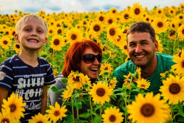 Достижения на прозрачном фоне