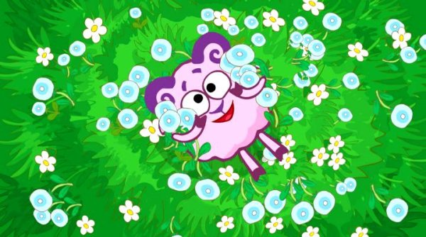 Бараш летом