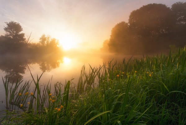 Природа рассвет