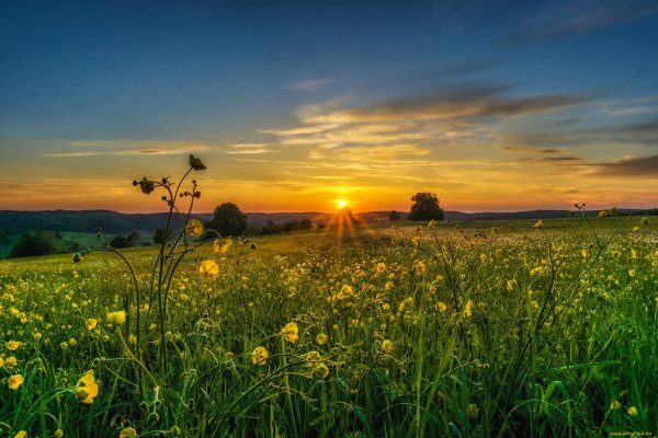 Летний рассвет