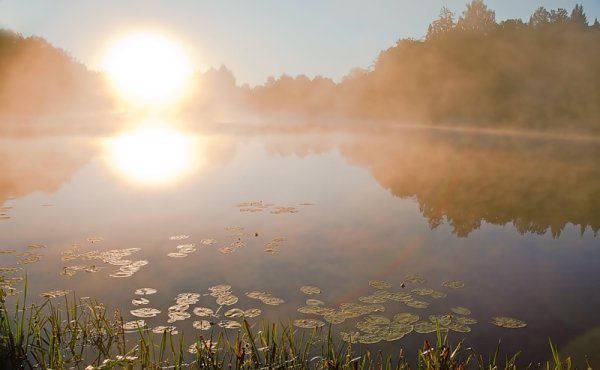 Холодное летнее утро