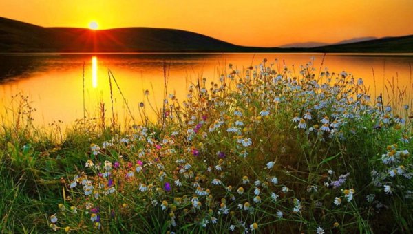 Доброе утро природа