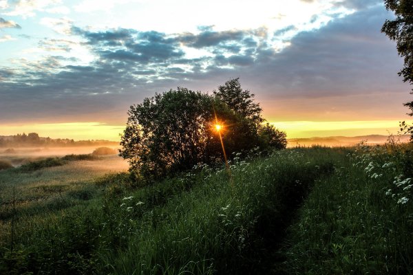 Природа летом рассвет