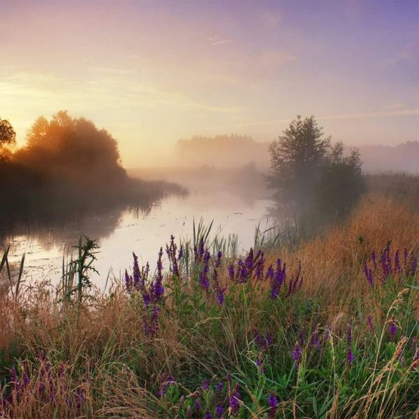 Утренний пейзаж