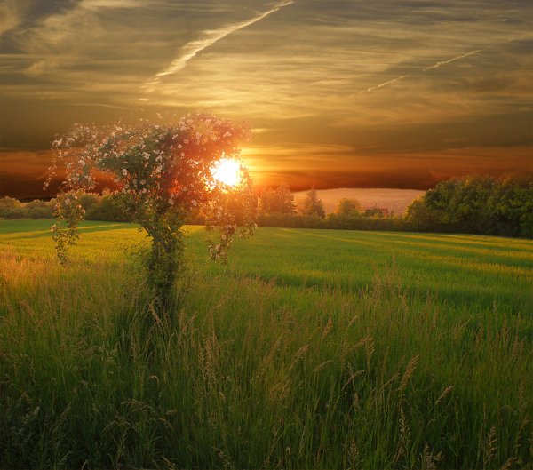 Рассвет фото