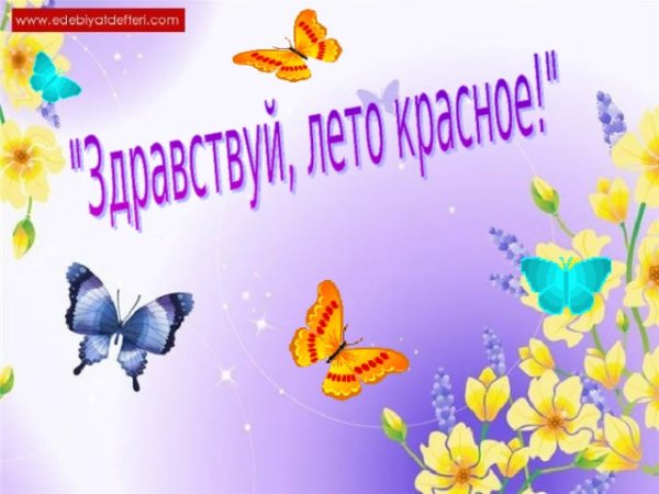 Закончили первый класс