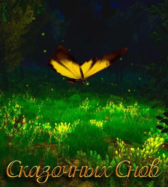 Доброй ночи летом