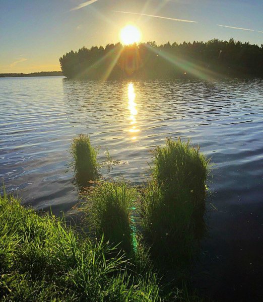 Звездное лето