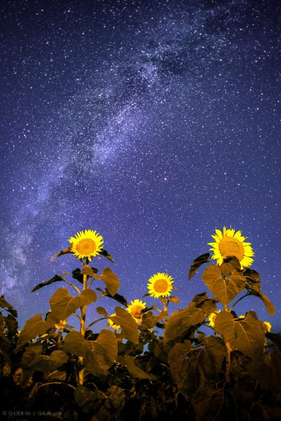 Природа вечер