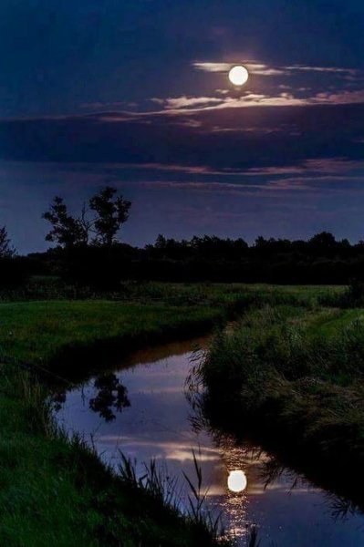 Добрый вечер природа