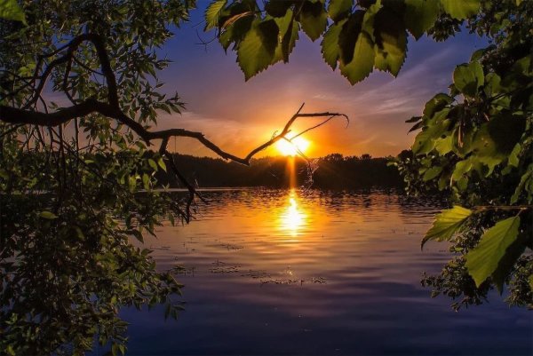 Прекрасной весенней ночи