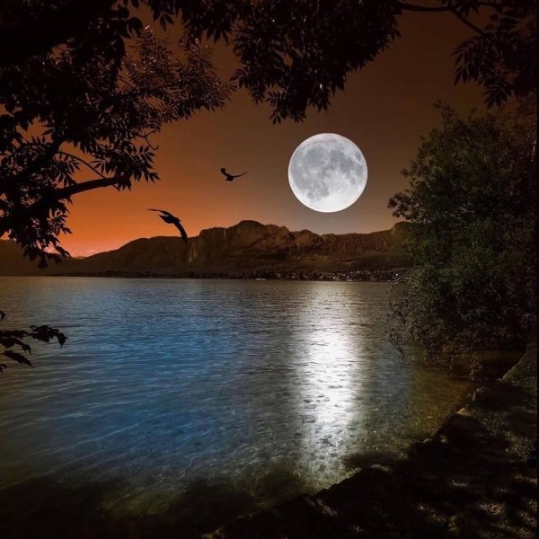 Спокойной ночи летом