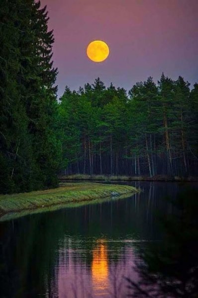 Доброй летней ночи