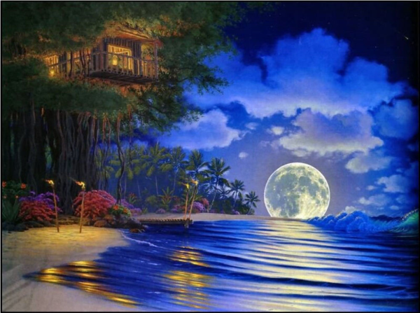 Ночной цветок