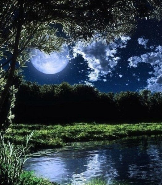 Летний вечер