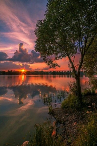 Багряный рассвет