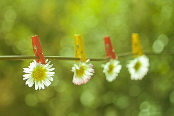 Весна солнце позитив