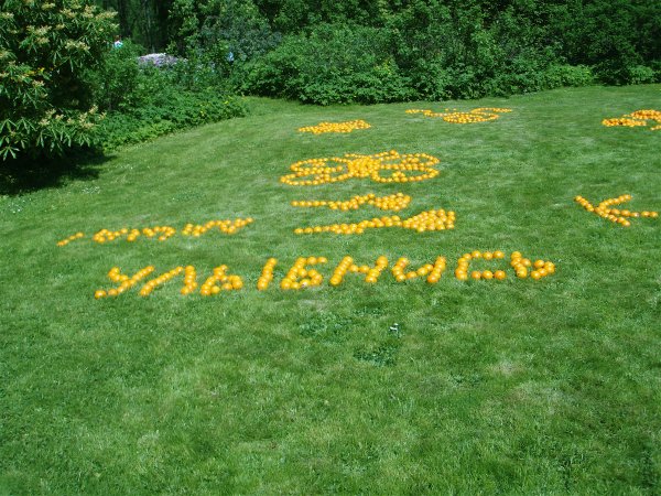 Позитивные надписи