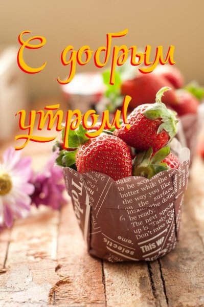 Фотограф Елена Еремина Симба