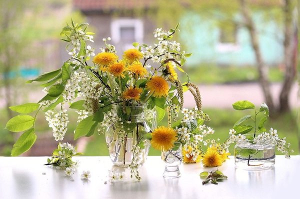 Композиция "лето"