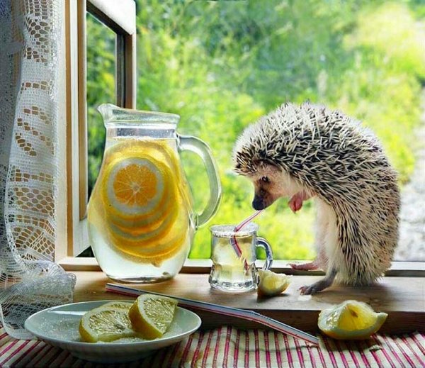 Доброе утро море