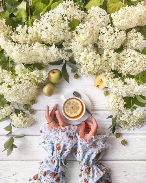 Доброе Воскресное утро море