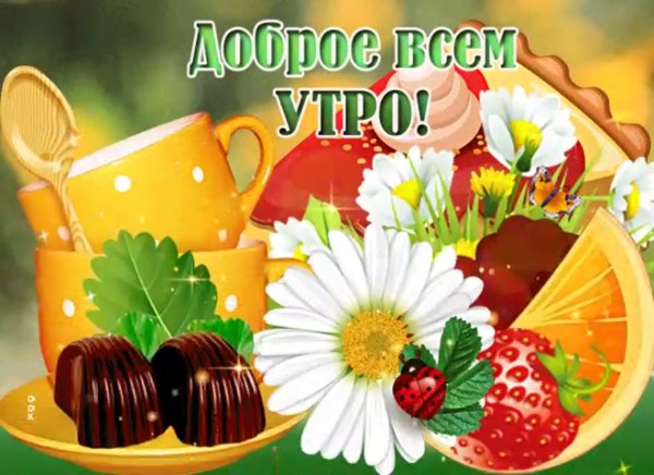 Доброе утро море