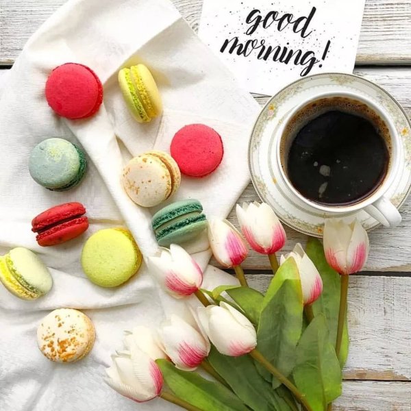 Ромашки в ботинках