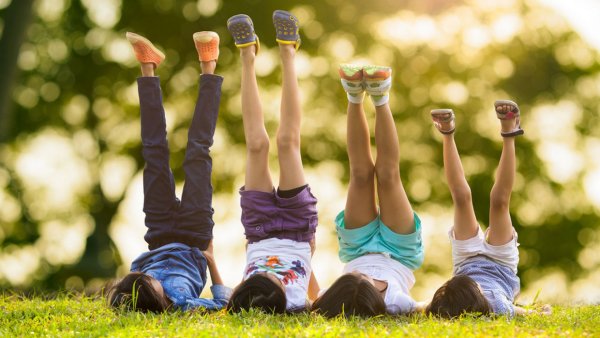 Летний отдых на природе