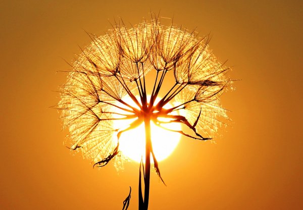 Самый короткий день и самая длинная ночь в году