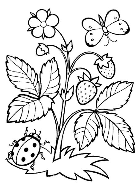 Летние раскраски для детей