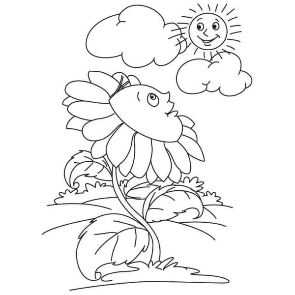 Раскраска природа для малышей