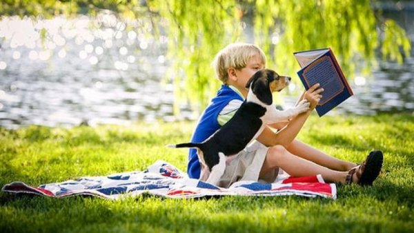 Лето с книгой