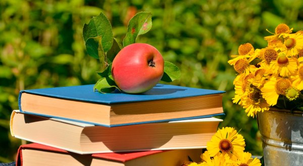 Яблоко книга