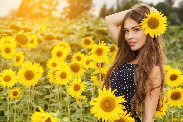 Arina Sunflower модель
