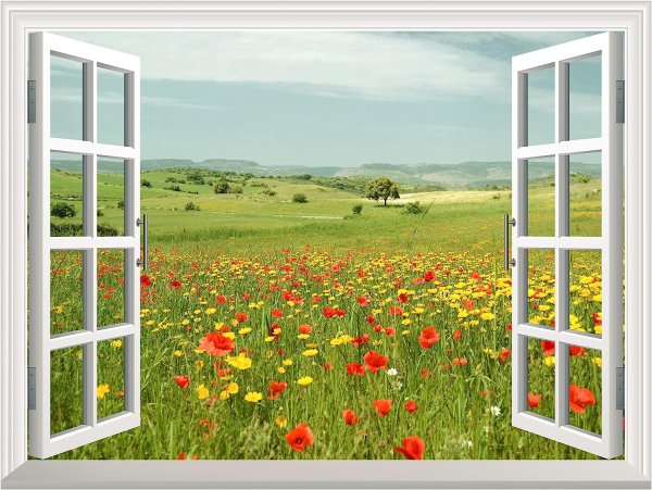 Открытое окно в лето