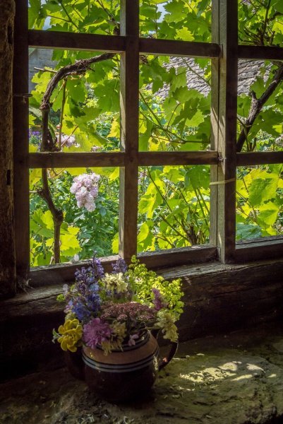 Вид из деревенского окна