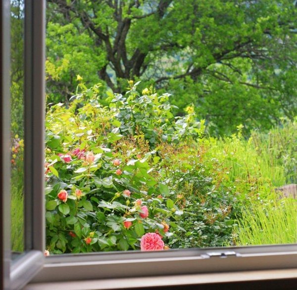 Сад в окне