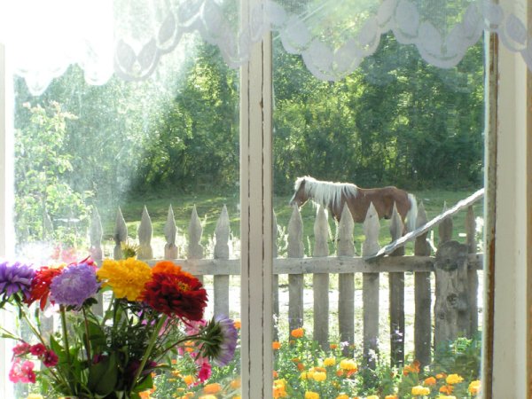 Солнечная живопись Лорана парселье