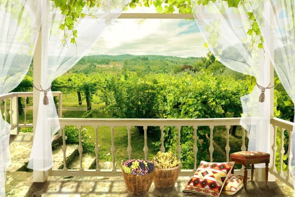 Окно в природу