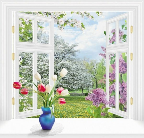 Окно в лето