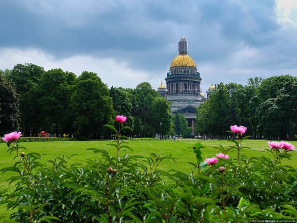 Санкт-Петербург Солнечный летний